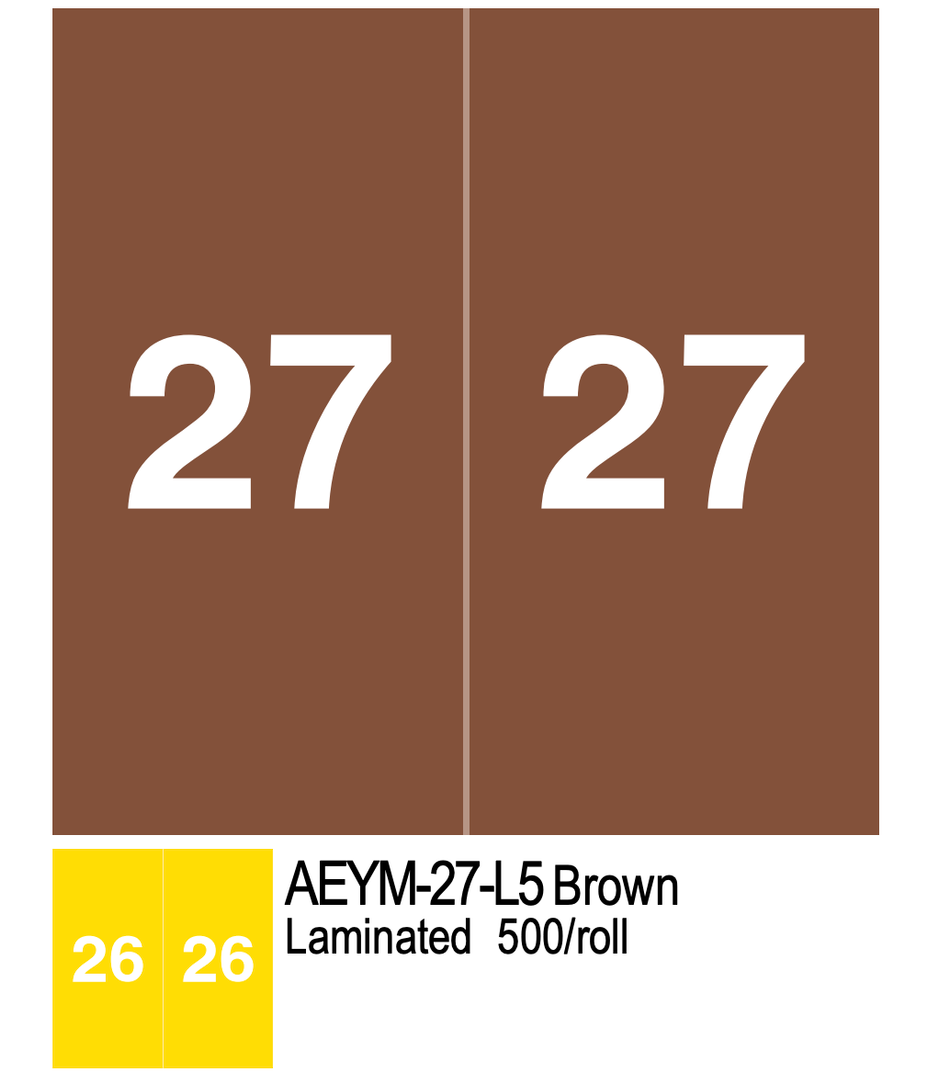 2027 AMES COLOR FILE AEYM-27-L5 Brown Laminated 500/roll