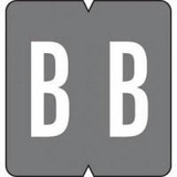  GBS Compatible Alpha Label Laminated 