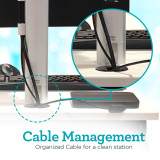 First Products Mov-it PACs Reading Cart 