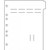 First Products Side Open Poly Divider Page Blank Tab 