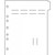 First Products Side Open Poly Divider Page Blank Tab 