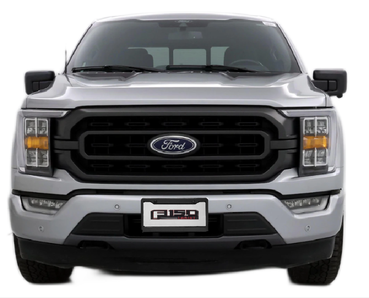  FORD F-150 3D LICENSE PLATE  
