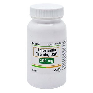 Amoxicillin 500MG Cap 100
