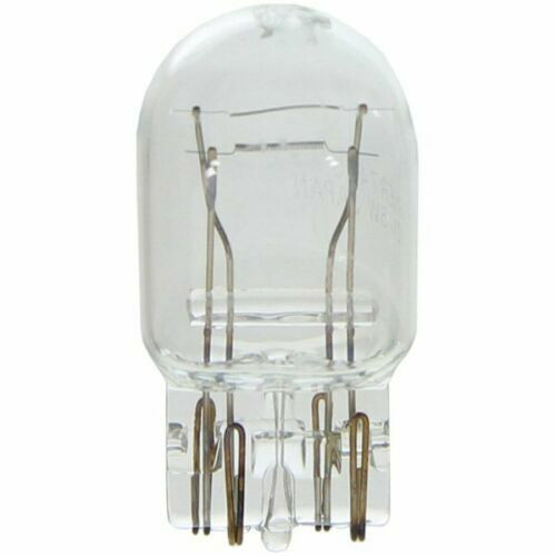 Phillips Lighting 7443  RearLamp /Tail Lamp/ Auto Light Bulbs- 10 pack, 046677251871,