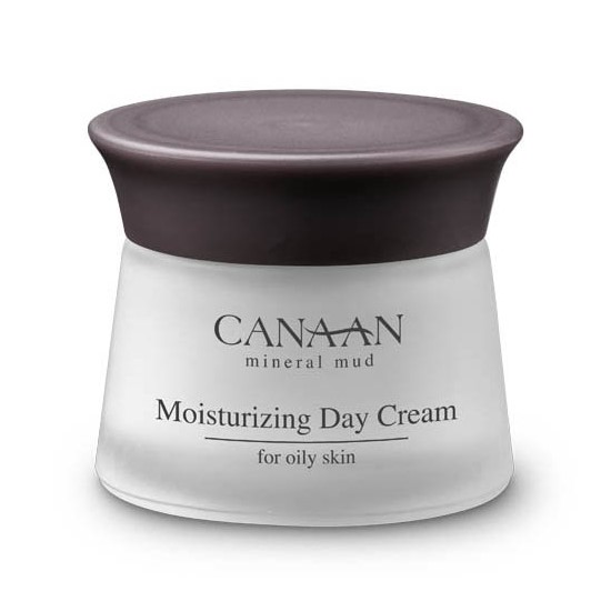 Moisturizing Day Cream For Oily Skin Chic Cosmetics