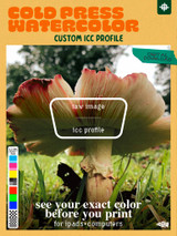 Product cover image: Image says "cold press  watercolor: Custom ICC profile" at bottom of image text says "see your exact color before you print: for Ipads + computers" on image contains the words "digital download" written on tape. bottom left contains color blocks for CMYK+RGB inks in 12 colors. Overtop central image a box contains the words: Raw image [line] Icc Profile to show the image split in two with the profile applied and not applied"  

Image contains a photograph of a large pale mushroom in green lawn