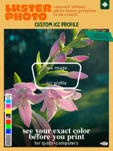 Product cover image: Image says "luster photo canson® infinity 
photo lustre premium 
resin coated: Custom ICC profile" at bottom of image text says "see your exact color before you print: for Ipads + computers" on image contains the words "digital download" written on tape. bottom left contains color blocks for CMYK+RGB inks in 12 colors. Overtop central image a box contains the words: Raw image [line] Icc Profile to show the image split in two with the profile applied and not applied"  

Image contains a photograph of pink flowers on green stem with blurry teal background from a hosta plant
