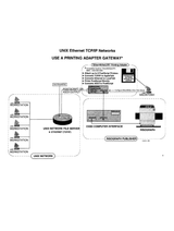 Sample Page: Unix ethernet networking hook up