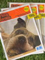 Printed cover for the Lying Down Issue 1 Photo zine in a stack of three with coverage of sleepy dog and red bar on top with logo.