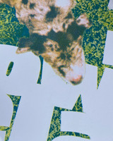 image of the product zoomed into a portion showing the dog's head overlaying the letter W in white with grass background showing through between letters.