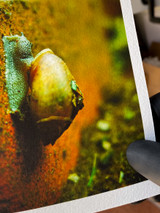 image of a hand wearing a black nitrile glove holding an art print on Canson Arches BFK Rives paper. photograph printed is of a snail on a red brick with a white border. you can see part of the background of a print shop on the right side of the image but is blurred out by focal length.