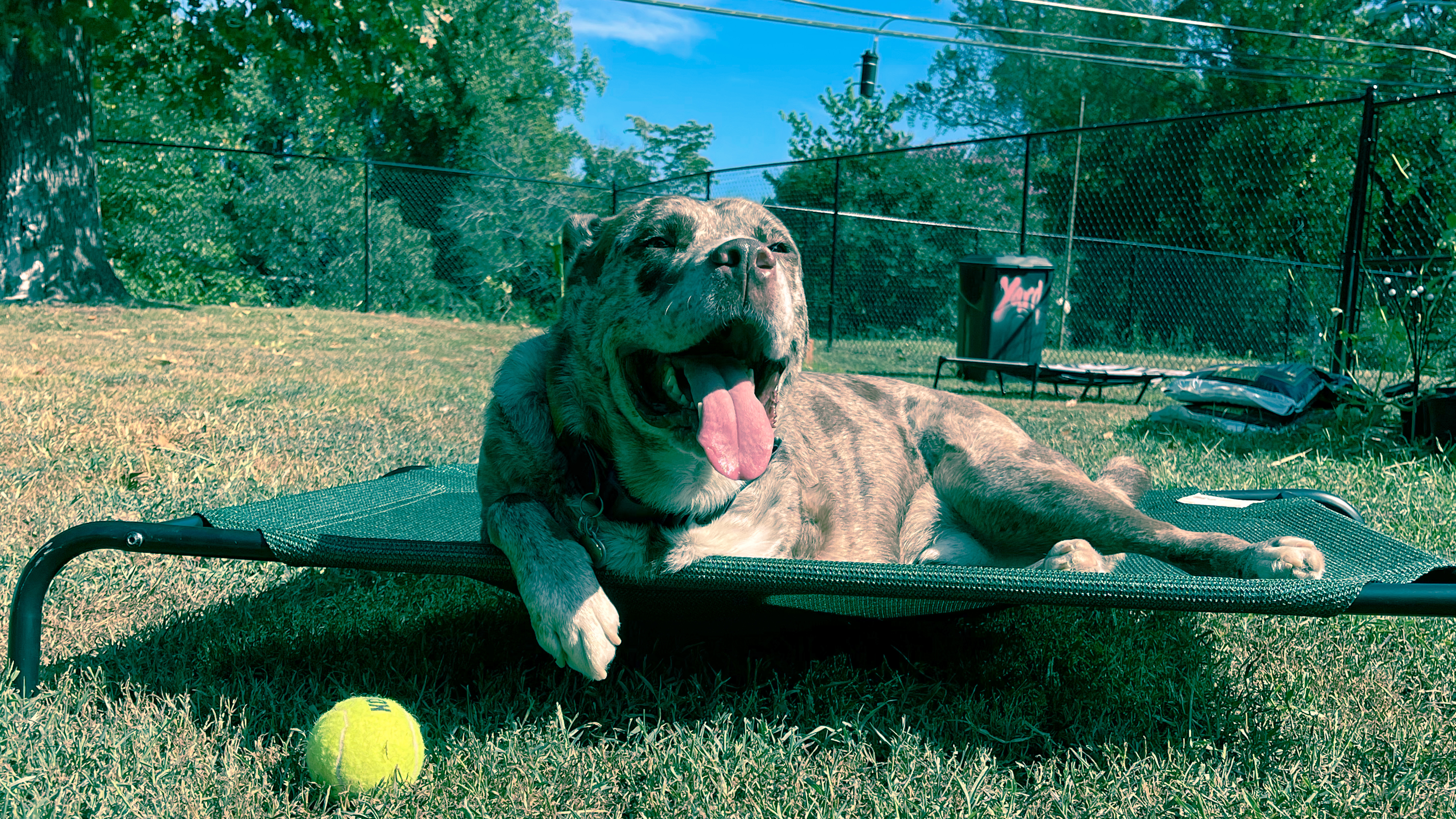 skips-employee-photo.jpg