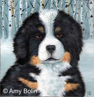 Painting "Puppy Eyes" Bernese Mountain Dog