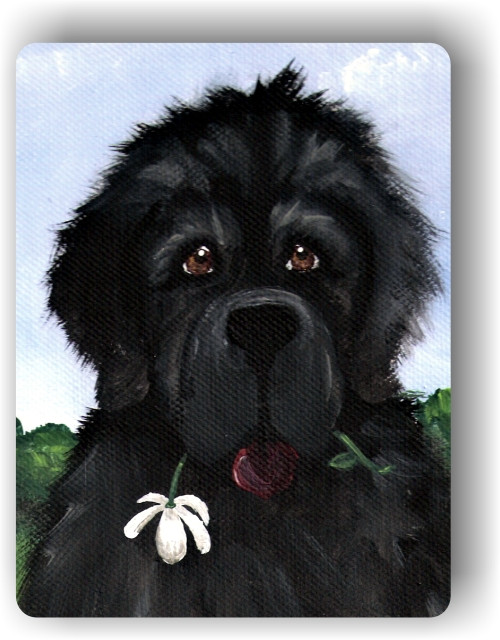 "I Saw This Flower and Thought Of You" Black Newfoundland Magnet