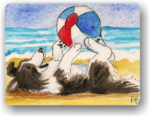 "Summer Fun" Bi Black Sheltie Magnet