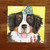 "Happy Birthday To You" Bernese Mountain Dog Lens Cleaning Cloth