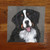 "Merlin" Bernese Mountain Dog Lens Cleaning Cloth