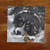 "My First Winter" Bernese Mountain Dog Lens Cleaning Cloth
