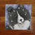 "Snowy" Bi Black Shetland Sheepdog Lens Cleaning Cloth