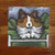 "Agility Queen" Sable Shetland Sheepdog Lens Cleaning Cloth