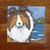 "Day At The Beach" Sable Shetland Sheepdog Lens Cleaning Cloth