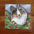 "Ella" Blue Merle Shetland Sheepdog Lens Cleaning Cloth