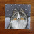 "In The Snow Again" Blue Merle Shetland Sheepdog Lens Cleaning Cloth