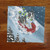 "The Sled Ride" Blue Merle Shetland Sheepdog Lens Cleaning Cloth