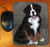 "Merlin" Bernese Mountain Dog Mouse Pad