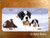 "Zeus & Ursa" Saint Bernard License Plate