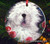 "Mom's Favorite Flower" Old English Sheepdog Ceramic Ornament Round