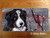 "Winter Buddies" Bernese Mountain Dog & Cardinals License Plate