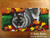"Autumn's Simple Pleasures" Norwegian Elkhound License Plate