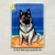 "Beach Bum" Norwegian Elkhound Magnet