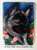 "Mom's Favorite Flower" Norwegian Elkhound Magnet