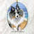 "Hello Hollywood" Blue Merle Shetland Sheepdog Ceramic Ornament Oval