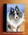 "Hello Hollywood" Blue Merle Shetland Sheepdog Notebooks (several sizes available)