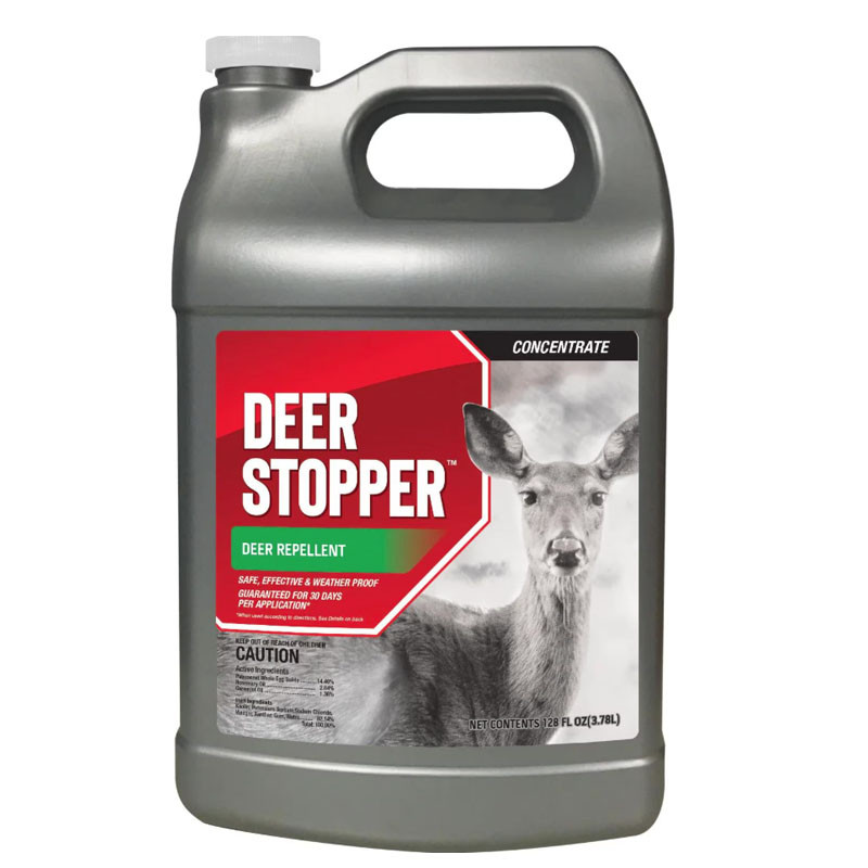 Messinas Deer Stopper II - Thumbnail 2