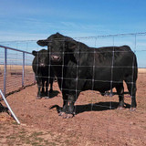 STAY-TUFF FIELD FENCE 949-12-660