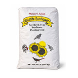 PEREDOVIK SUNFLOWER 50#