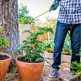 GARDENTECH DACONIL FUNGICIDE 16oz
