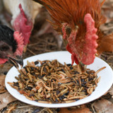 HAPPY HEN BUG BONANZA 5 lbs
MEALWORM & BUG BLEND