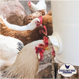 RIVERBEND RESOURCES POULTRY PRO FEEDER