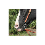 SHORT SHANK BIT, DOGBONE, CHEEK 5", MOUTHPIECE 5 1/8"