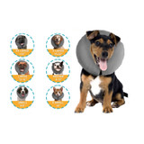 ZENPET ZENCOLLAR INFLATABLE RECOVERY COLLAR