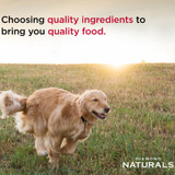 DIAMOND NATURAL, ALL LIFE STAGES,  SKIN & COAT, SALMON & POTATO FORMULA 30#