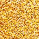 R/C CORN 50#