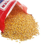 R/C CORN 50#