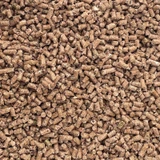 SAFE-GUARD ALL-IN-ONE 1/4" 50#, 10% PROTEIN (3-DAY FEEDING)