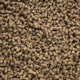 ENDURO SENIOR PLUS 50# 1/4"